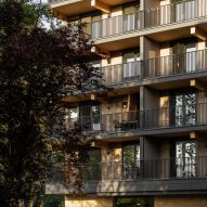 Valckensteyn mass-timber apartment building in Rotterdam by Powerhouse Company