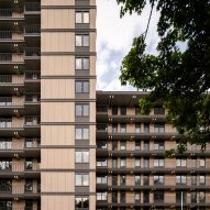 Valckensteyn mass-timber apartment building in Rotterdam by Powerhouse Company