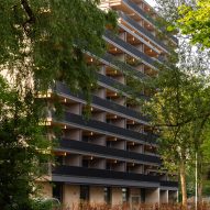 Valckensteyn mass-timber apartment building in Rotterdam by Powerhouse Company