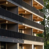 Valckensteyn mass-timber apartment building in Rotterdam by Powerhouse Company