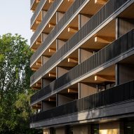 Valckensteyn mass-timber apartment building in Rotterdam by Powerhouse Company