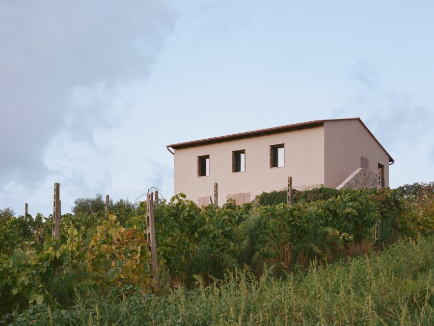 Farmhouse overlooking a vineyard