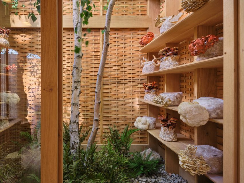 Enclosed courtyard in Chelsea Flower Show pavilion
