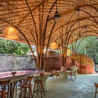 Living Bridge by Jonathan Mizzi at the Green School