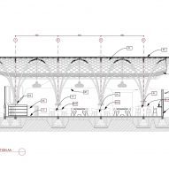 Section of Living Bridge by Jonathan Mizzi at the Green School