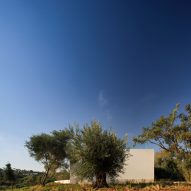 Villa 95 by Fran Silvestre Arquitectos