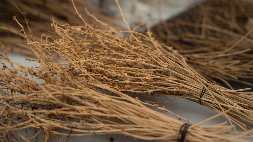 Nature's Alchemy, Dunes and Dugongs and Discursive Instrumentation