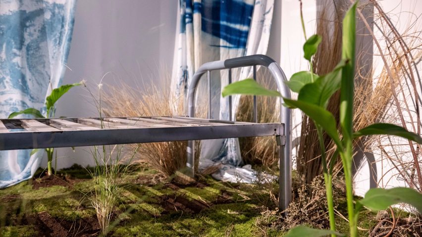 Photo of an installation with a bed frame and plants