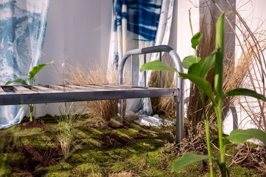 Photo of an installation with a bed frame and plants