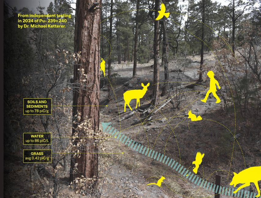 an image of a woodland area with yellow figures