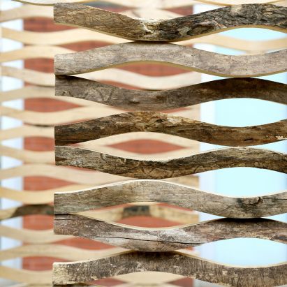 Crinkle Cuts by After Architecture