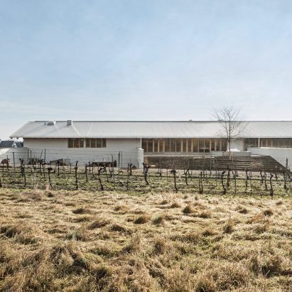 Gruber Röschitz Winery by Architects Collective