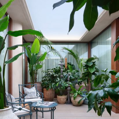 Subterranean Sky and Garden by Light Cognitive