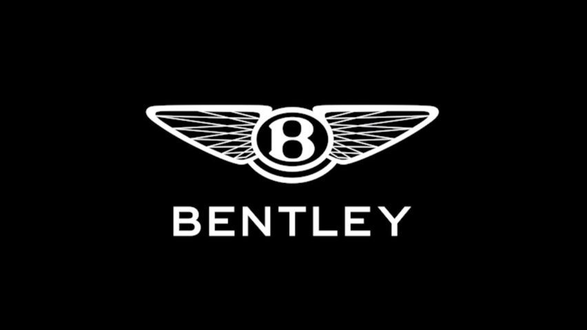 Flat version of car brand logo with wings
