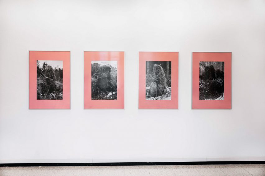 a photograph of framed images hung on a white wall