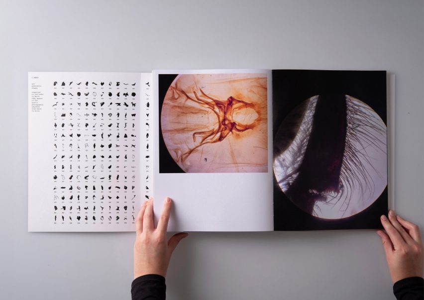 a photograph of an open book showing abstract images in tones of black, orange and white