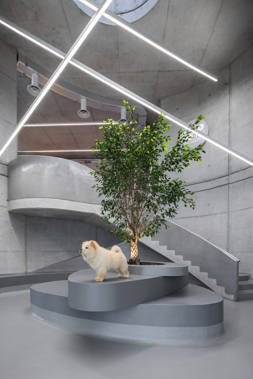 Interior of a vet hospital in Albania