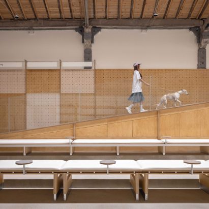 Healing Pets by Informal Design