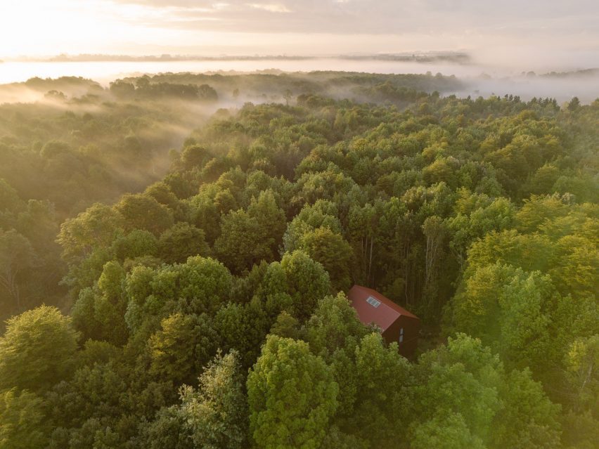 House in the Forest by Daiber Aceituno