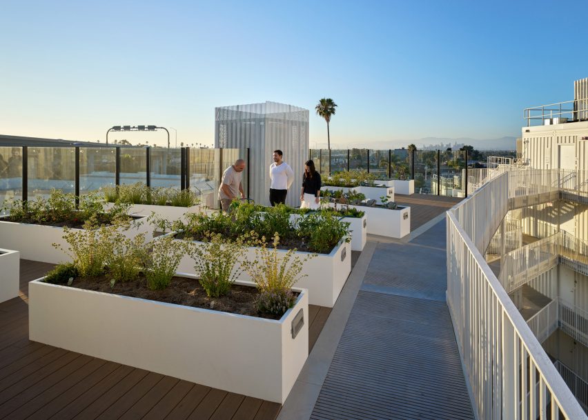 Rooftop farm with edible plants