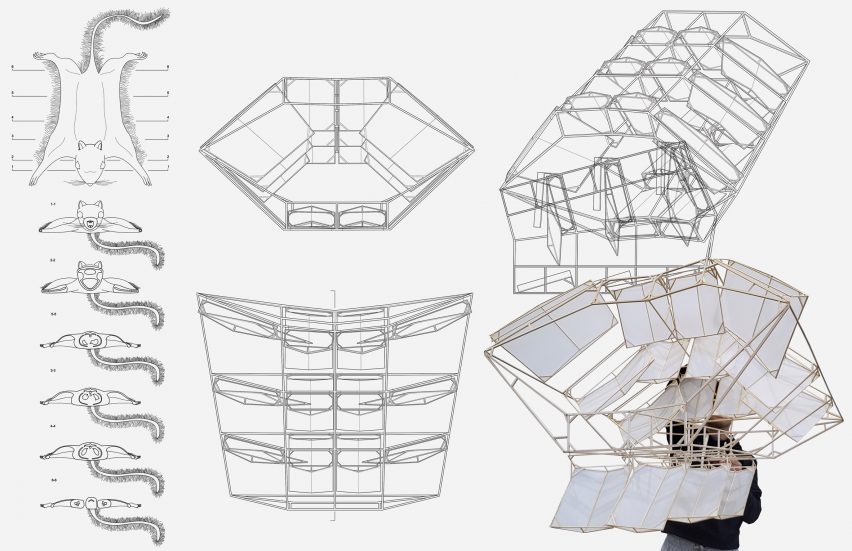 a diagram of a design for a kite