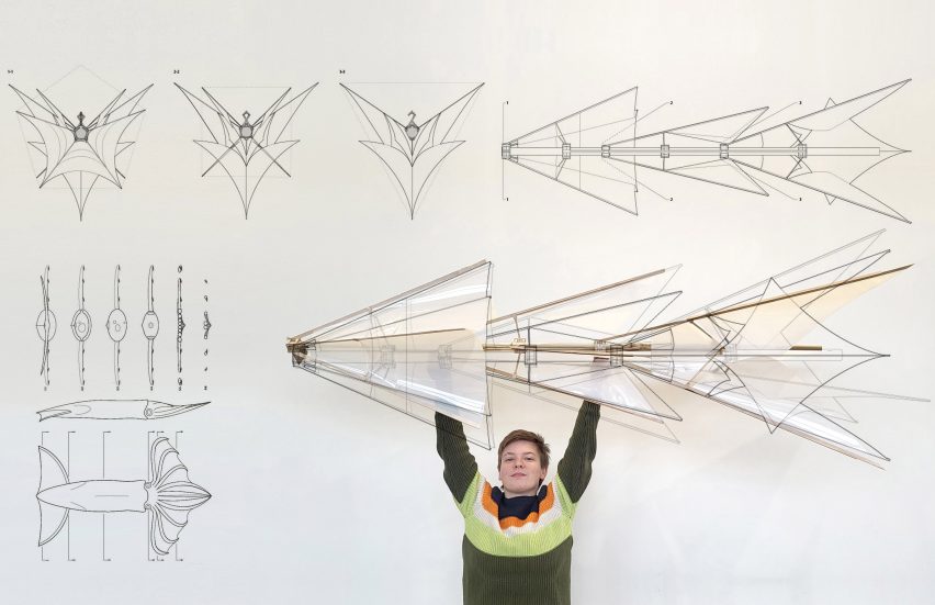 a photograph of a person holding up a design for a kite