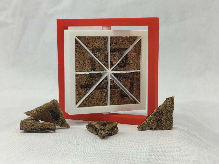 a photograph of a toy made from sunflower seeds