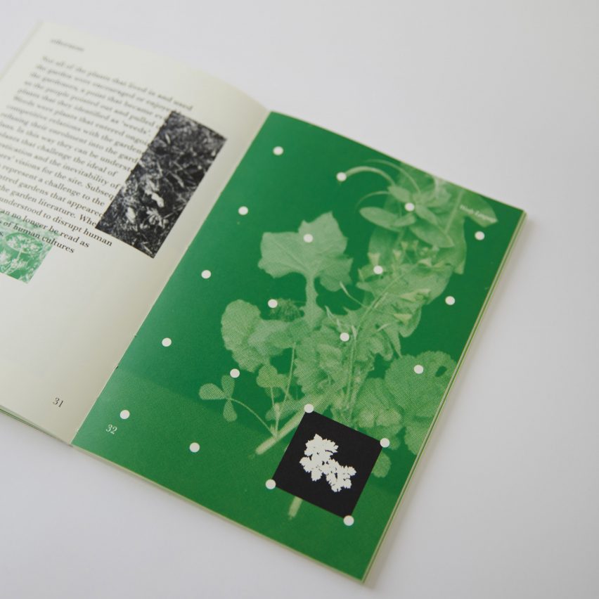 a photograph of a printed book in tones of green and beige
