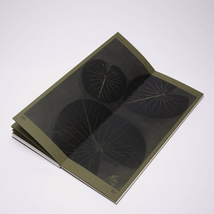 a photograph of a printed book in tones of green and black