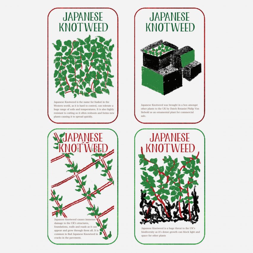 an image displaying designs for cards about plants