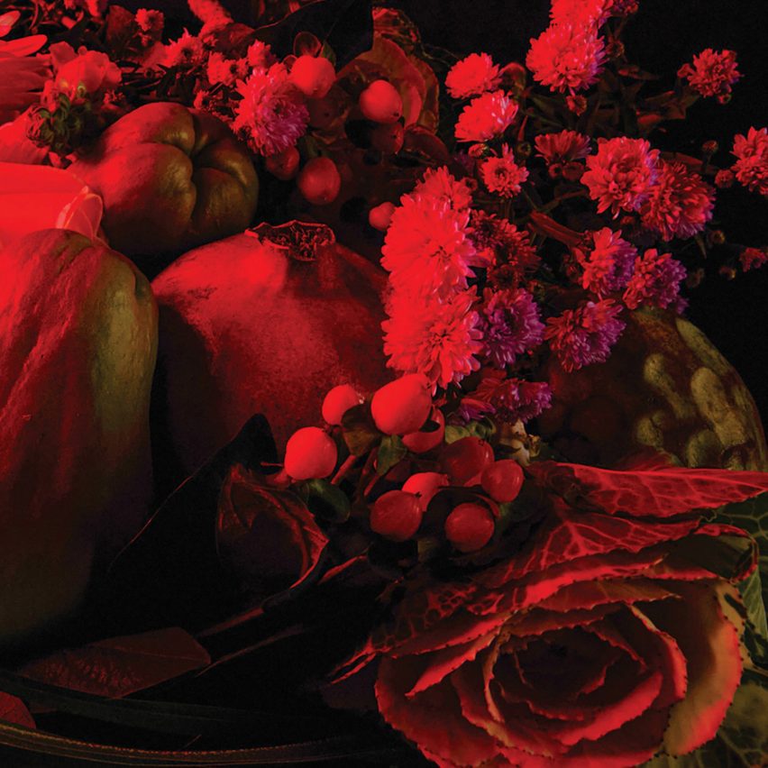 a photograph of flowers under a red light