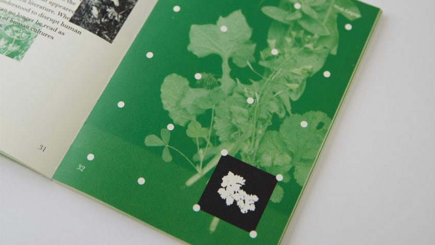 a cropped photograph of a book in tones of green and white