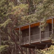 Porch overlooking forest