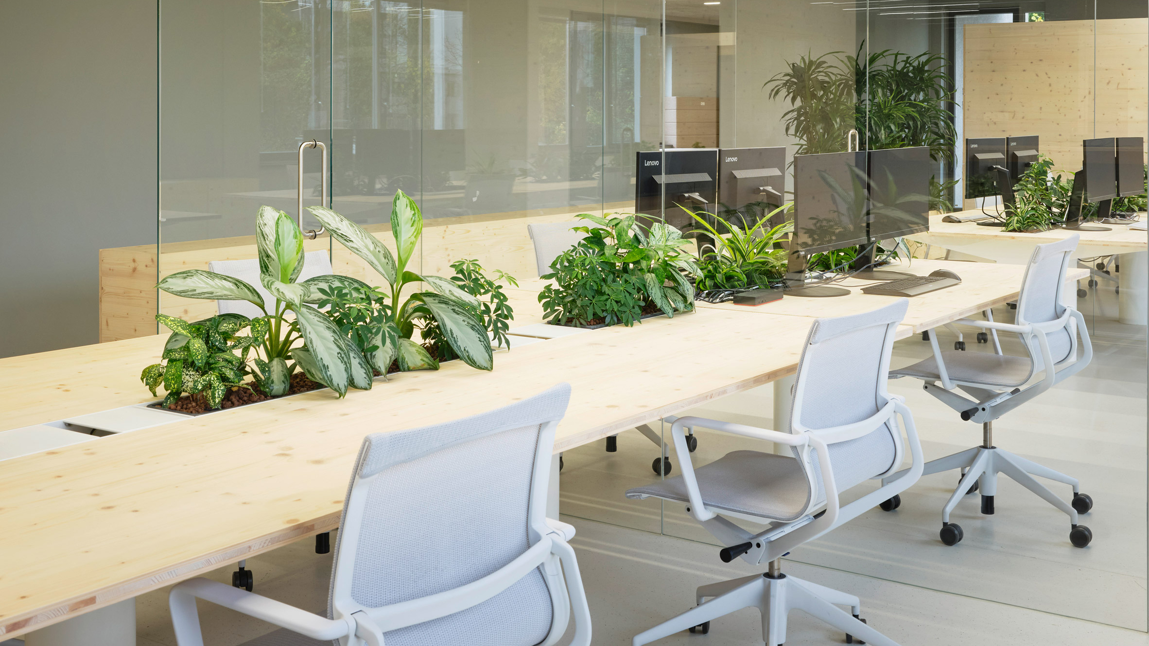 Zeller & Moye embed plants throughout German office