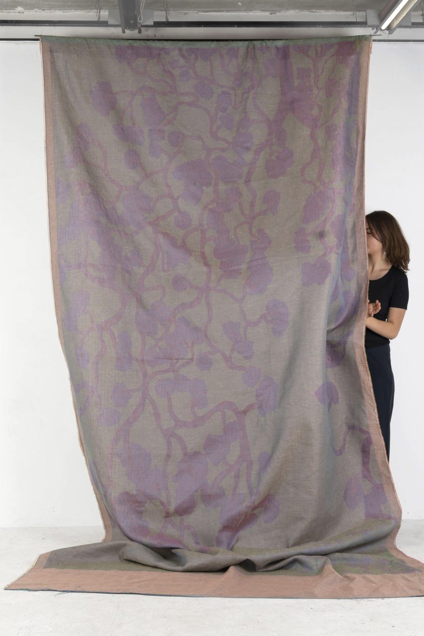 a photograph of a person behind a large sheet of purple fabric