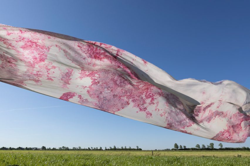 Soil bacteria textile by Faber Futures for Veenweide Atelier