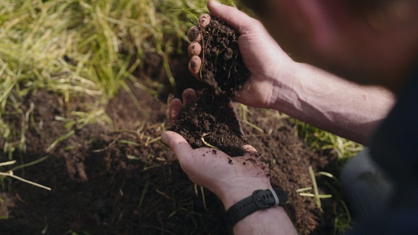 Peat stores nearly a third of all soil carbon
