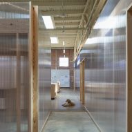 Transparent cladding