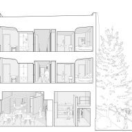 Cross section