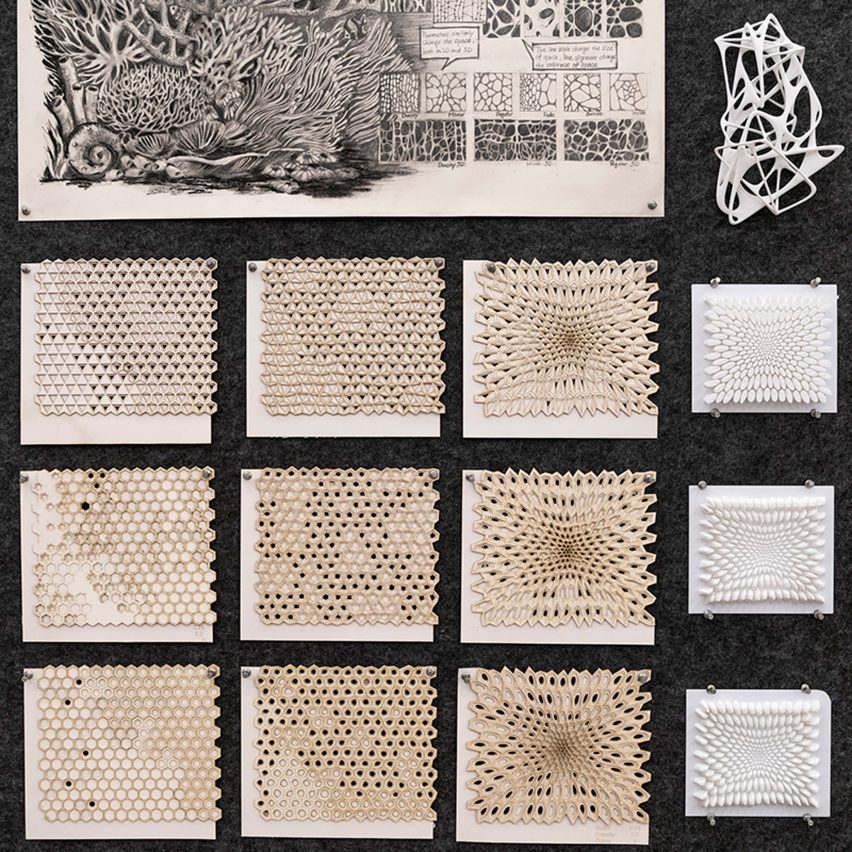 a photograph of student work being displayed
