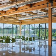 Mass timber office