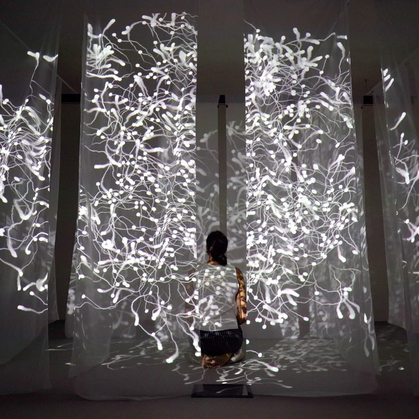 a photograph of an installation with white lights on it