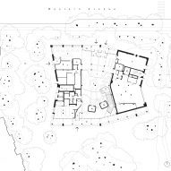 Rubenstein Treehouse Harvard