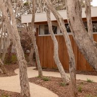 Pathway with trees leading to wood clad structure