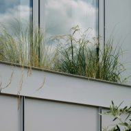 Planting boxes in Stone and Steel House extension by DGN Studio and Sarah Izod