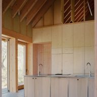 The Apple House by Okra