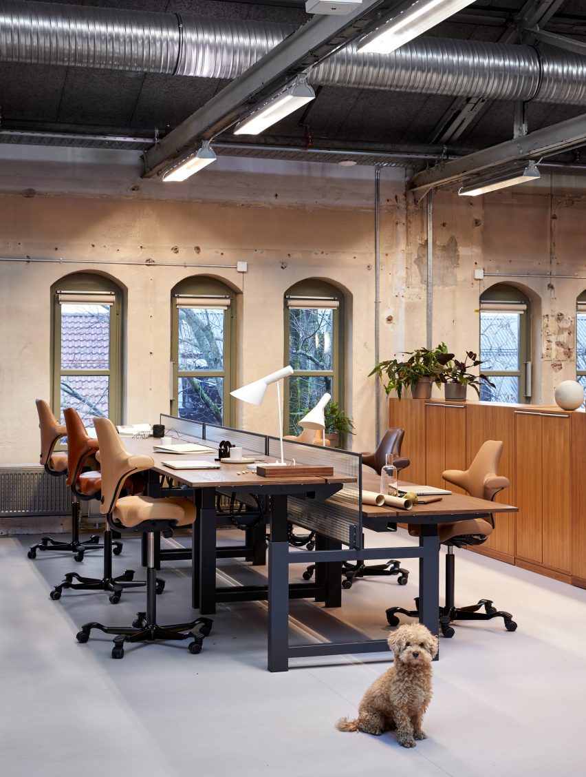 HÅG Capisco task chair by Peter Opsvik for Flokk