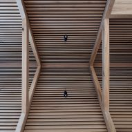 Pitched timber-lined roof