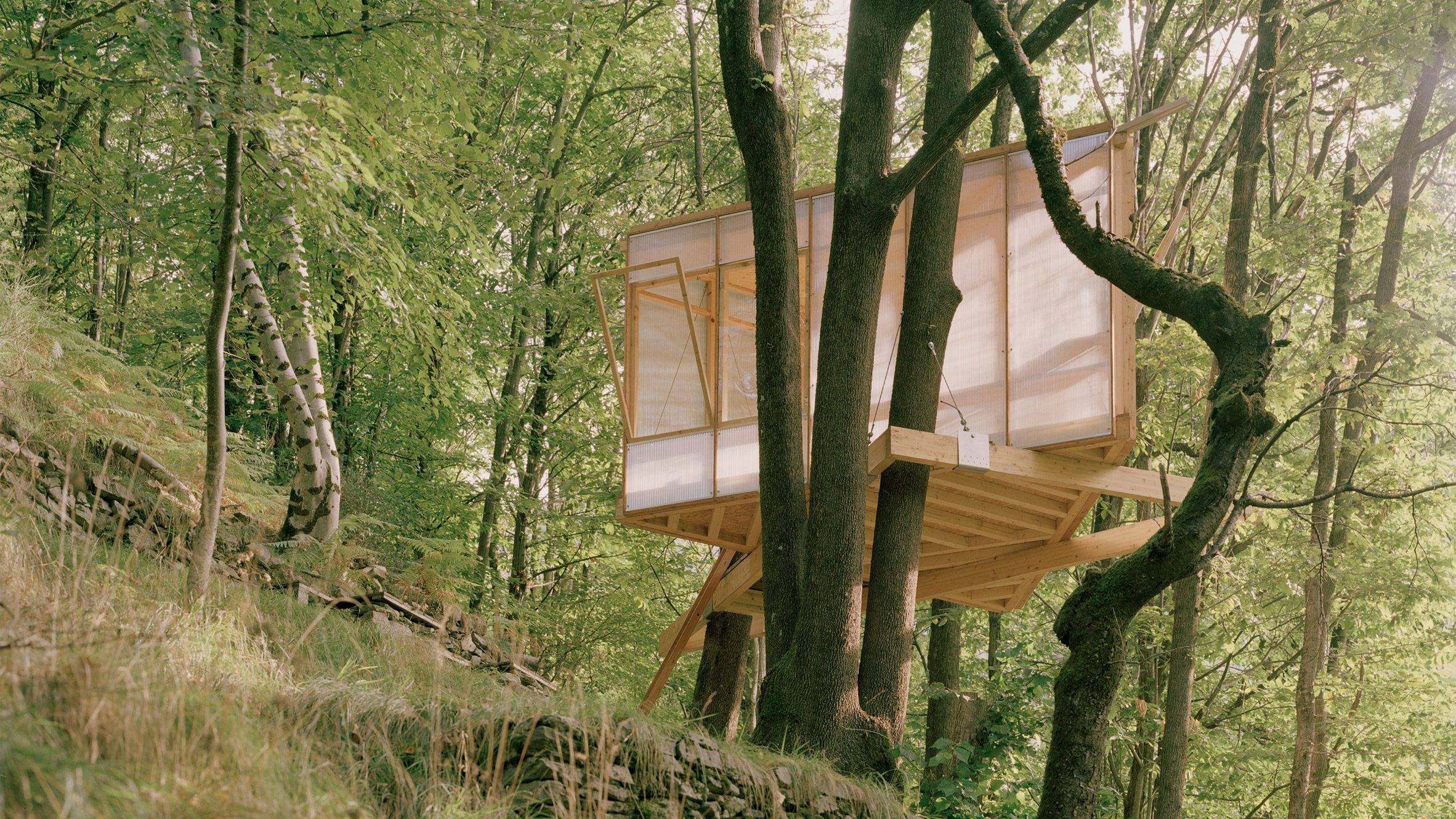 Olin Petzold nestles self-built treehouse in Swiss valley