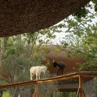 LuxeIsland Farm by Various Associates